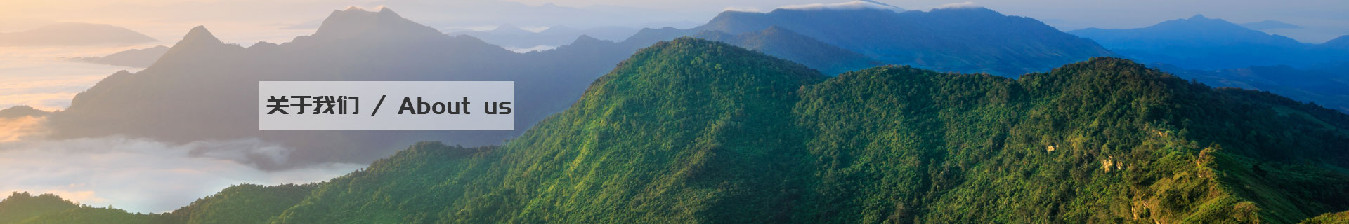 西安市灃渭新區(qū)天聯(lián)編織袋廠